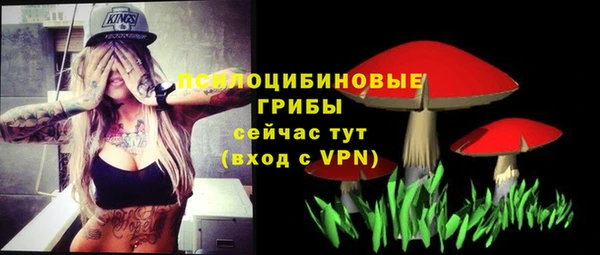 трава Абинск