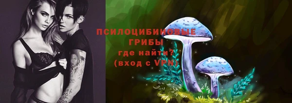 трава Абинск