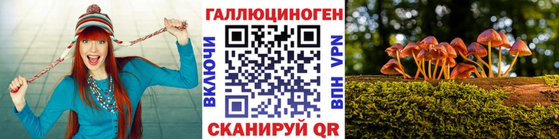 Псилоцибиновые грибы мицелий  это Telegram  Собинка  где можно купить  